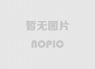 歐式固定電動葫蘆：助力工業發展的起重神器